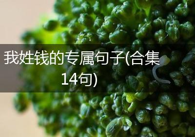 我姓钱的专属句子(合集14句)