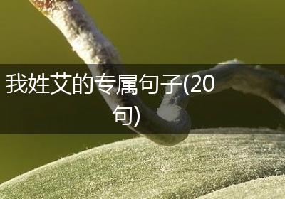 我姓艾的专属句子(20句)