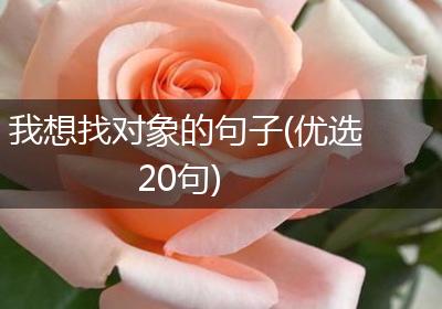 我想找对象的句子(优选20句)