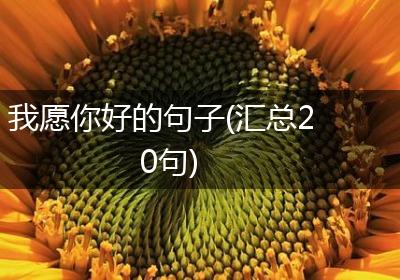 我愿你好的句子(汇总20句)