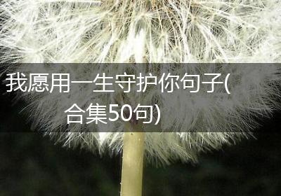 我愿用一生守护你句子(合集50句)