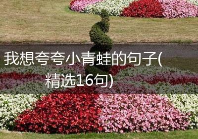 我想夸夸小青蛙的句子(精选16句)