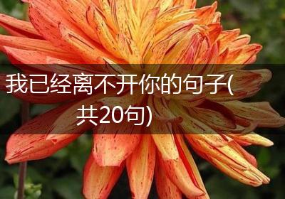 我已经离不开你的句子(共20句)