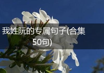 我姓阮的专属句子(合集50句)