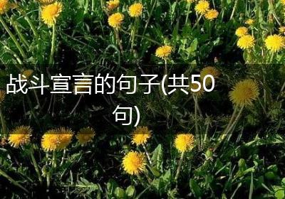 战斗宣言的句子(共50句)