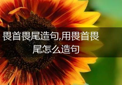 畏首畏尾造句,用畏首畏尾怎么造句