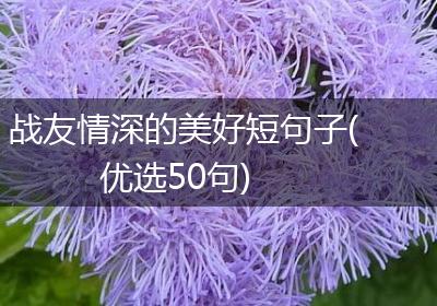 战友情深的美好短句子(优选50句)