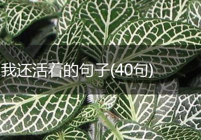 我还活着的句子(40句)