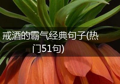 戒酒的霸气经典句子(热门51句)