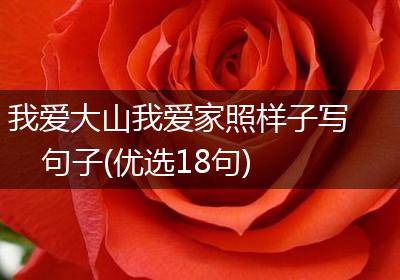 我爱大山我爱家照样子写句子(优选18句)