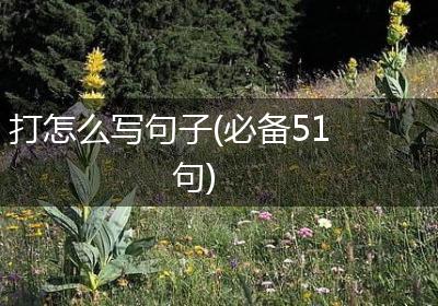 打怎么写句子(必备51句)