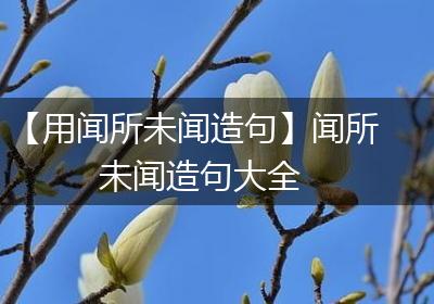 【用闻所未闻造句】闻所未闻造句大全
