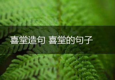 喜堂造句 喜堂的句子