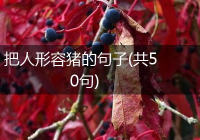 把人形容猪的句子(共50句)