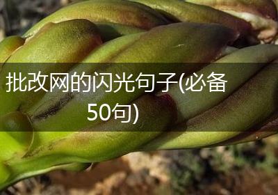 批改网的闪光句子(必备50句)