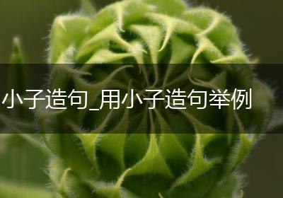 小子造句_用小子造句举例