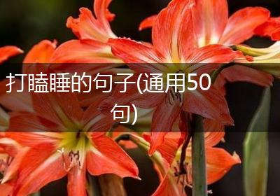 打瞌睡的句子(通用50句)