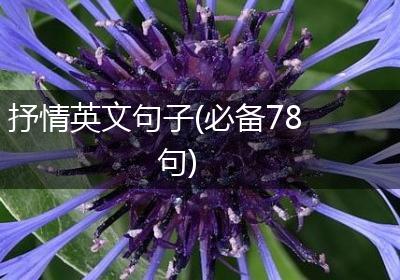 抒情英文句子(必备78句)
