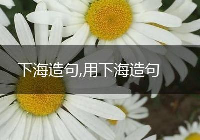 下海造句,用下海造句