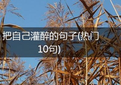 把自己灌醉的句子(热门10句)