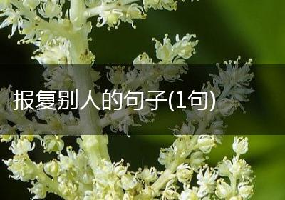 报复别人的句子(1句)
