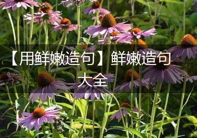 【用鲜嫩造句】鲜嫩造句大全