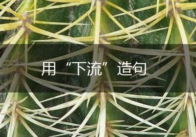 用“下流”造句