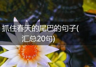 抓住春天的尾巴的句子(汇总20句)