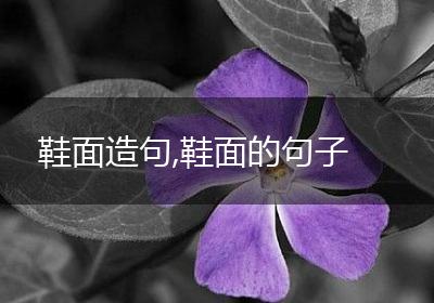 鞋面造句,鞋面的句子