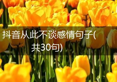 抖音从此不谈感情句子(共30句)