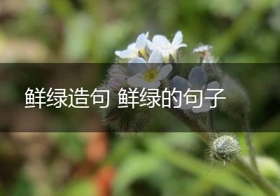 鲜绿造句 鲜绿的句子