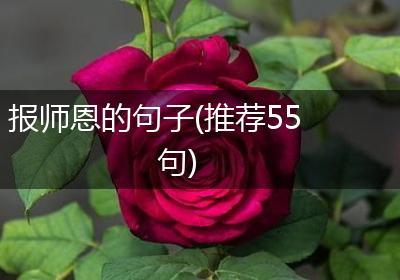 报师恩的句子(推荐55句)