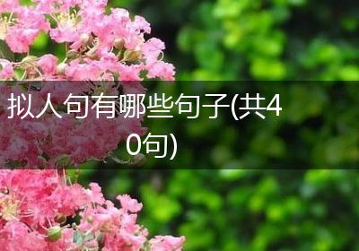 拟人句有哪些句子(共40句)