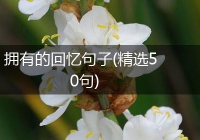 拥有的回忆句子(精选50句)