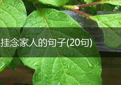 挂念家人的句子(20句)