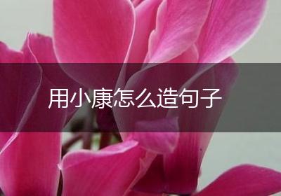用小康怎么造句子