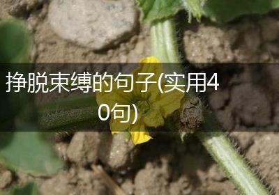 挣脱束缚的句子(实用40句)