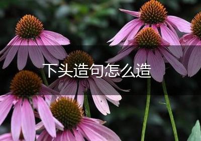 下头造句怎么造