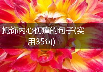 掩饰内心伤痛的句子(实用35句)