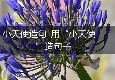 小天使造句_用“小天使”造句子