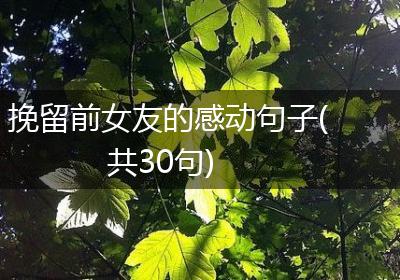 挽留前女友的感动句子(共30句)