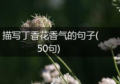 描写丁香花香气的句子(50句)