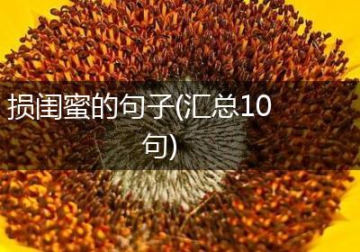 损闺蜜的句子(汇总10句)