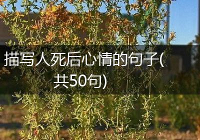 描写人死后心情的句子(共50句)