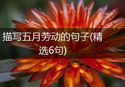 描写五月劳动的句子(精选6句)
