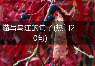 描写乌江的句子(热门20句)
