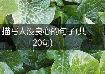 描写人没良心的句子(共20句)