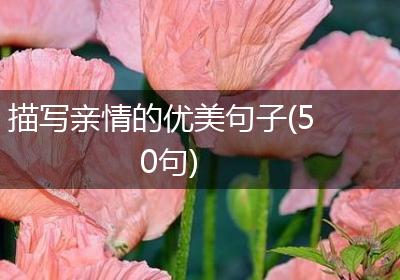 描写亲情的优美句子(50句)