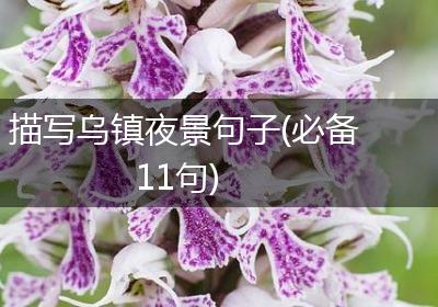 描写乌镇夜景句子(必备11句)