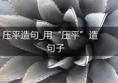 压平造句_用“压平”造句子